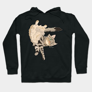 Maine Coon Cat Hoodie